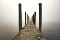 jetty in the fog by Matthijs Temminck thumbnail