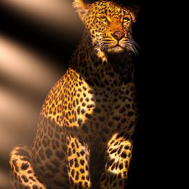 Portrait of a Leopard. by Gunter Nuyts