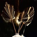 Still life golden dried palm tree leaves by Maurice Dawson thumbnail