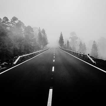 dark mountain road