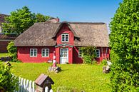 Historisches Haus in Norddorf auf der Insel Amrum von Rico Ködder Miniaturansicht