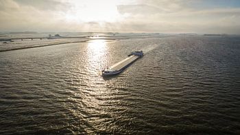Motor freighter Fidente