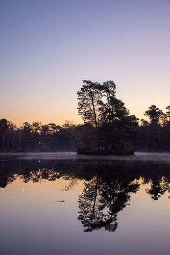 Morning at Van Esschenven