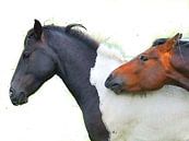 Paarden... broederliefde... van Dirk H. Wendt thumbnail
