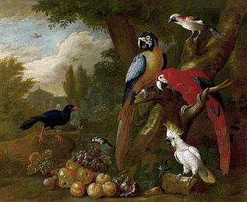 Twee ara's, een kaketoe en een gaai, met fruit, Jakob Bogdány