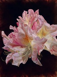 Rhododendron von Nanda Hoep