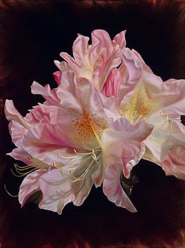 Rhododendron von Nanda Hoep