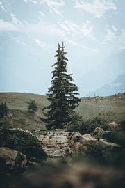 switzerland by Teun de Leede