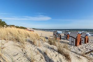 Strandkörbe am Strand in Binz auf Rügen