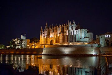 De kathedraal van Palma de Mallorca bij nacht van t.ART