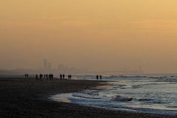 golden hour by Sebastian Stef