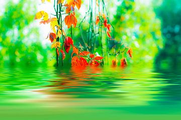 Herfstbladeren worden gereflecteerd in het meer