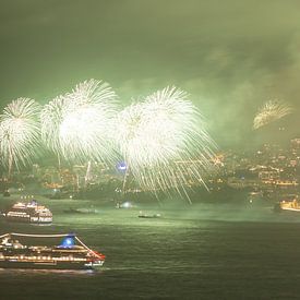 Ein neues Jahr aus Feuer und Meer von Walter G. Allgöwer