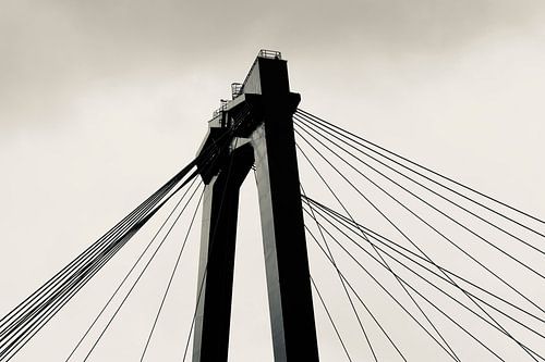 Willemsbrug Rotterdam
