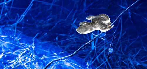 Natuurlijke Abstractie in  Ijsvormen