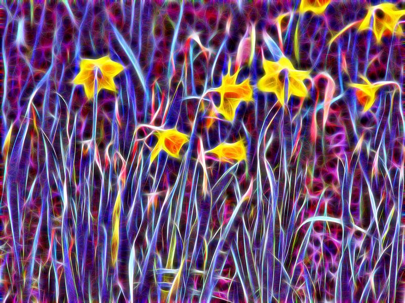 Fleurs néon par Edgar Schermaul