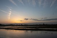 Ochtendzon in de polder