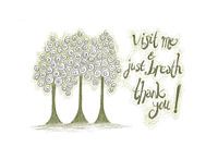 Art & Quote