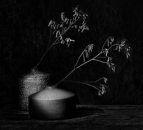 Velours noir. Nature morte minimaliste en B&W.