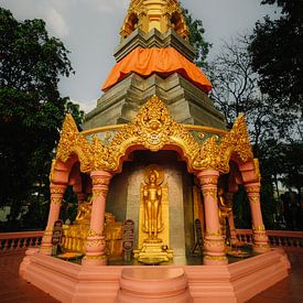 Tempel der Ruhe: Stehender Buddha im Goldenen Pavillon von NZME Photography