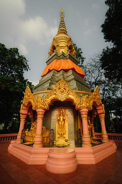 Temple of tranquillity: Standing Buddha in the Golden Pavilion by NZME Photography