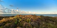Sylt, Braderup Heide met uitzicht op de zee
