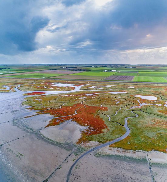Texel - De Schorre - Roter Sumpf samphire 02 von Texel360Fotografie Richard Heerschap