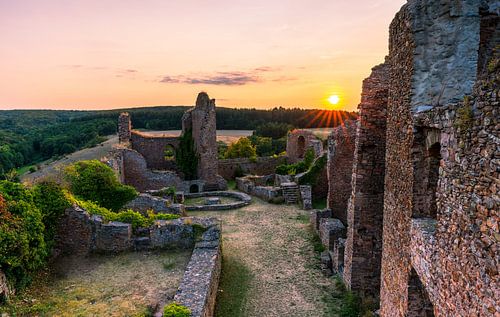 Zonnester in het kasteel van Montfort