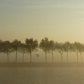 In the mist they appear 2 van Twan Van Keulen