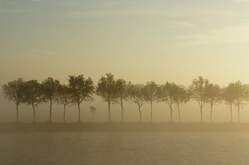 In the mist they appear 2 by Twan Van Keulen