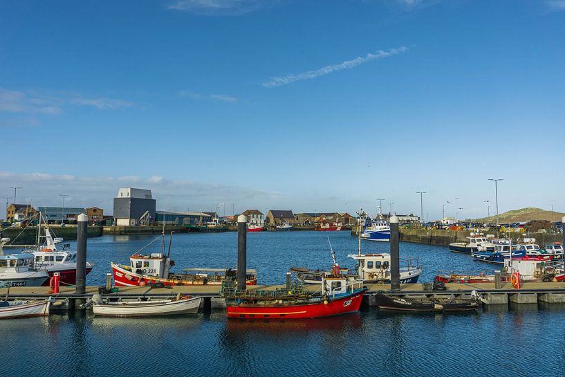 Dublin by Hello Pompoyo