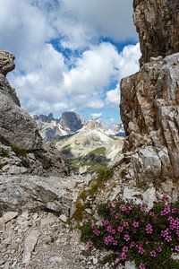 tre cime di lavaredo