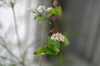 At