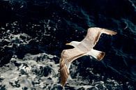 Zeemeeuw vliegt boven blauwe golven van de Middellandse zee in Griekenland van Eyesmile Photography thumbnail