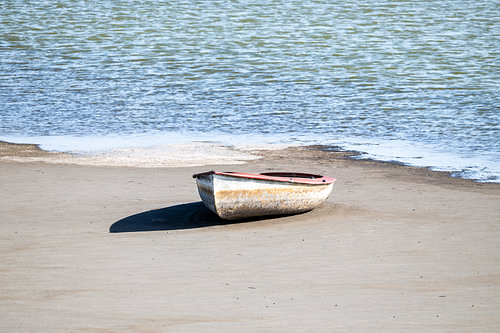 Lonely by the sea