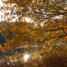 Herbst am Fluss von Carole Winchester