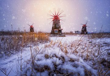 Besneeuwde ochtend van Tiger Seo