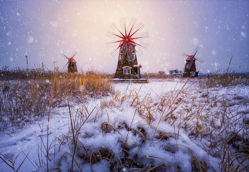 Matinée enneigée par Tiger Seo
