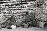 still life with an old tour de france bicycle by anne droogsma thumbnail