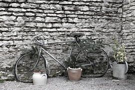 still life with an old tour de france bicycle by anne droogsma