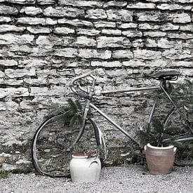 stilleven met een oude franse fiets van de tour de france van anne droogsma