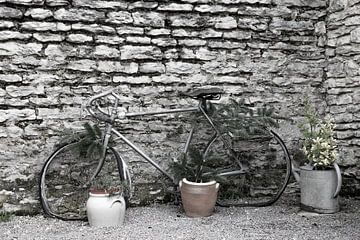 nature morte avec un vieux vélo du tour de france