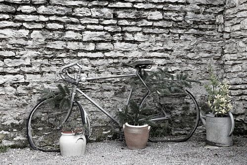 stillleben mit einem alten tour-de-france-fahrrad von anne droogsma