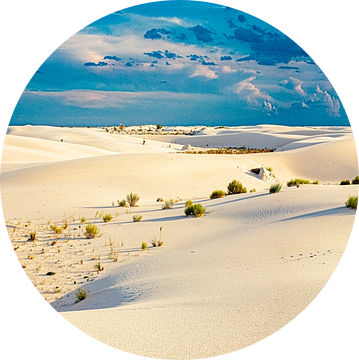 White Sands, National Park New Mexico, USA van Gert Hilbink