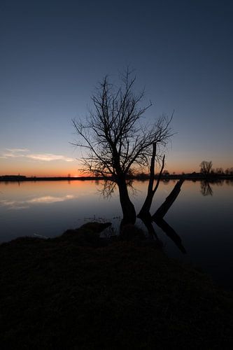 Boom en meertje bij zonsondergang