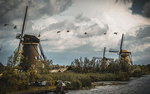 Kinderdijk I