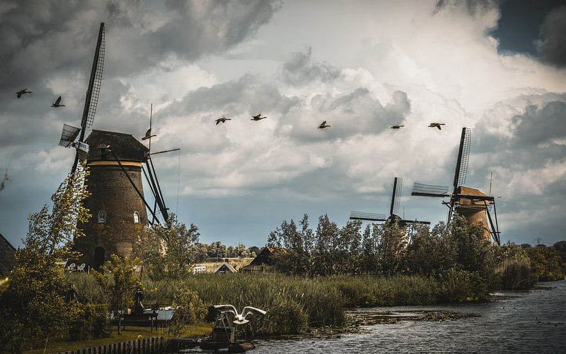 Kinderdijk I par La Photographie Utréchoise