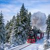 Die Brockenbahn am Goetheweg von t.ART