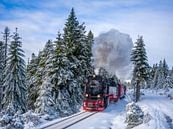 The Brocken railway on the Goetheweg by t.ART thumbnail