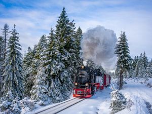 Die Brockenbahn am Goetheweg